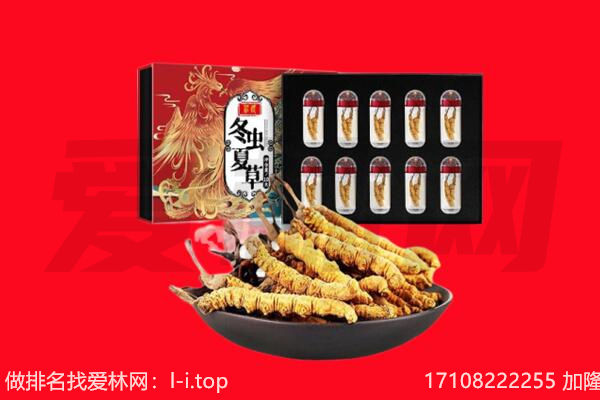 顺德区回收虫草.jpg